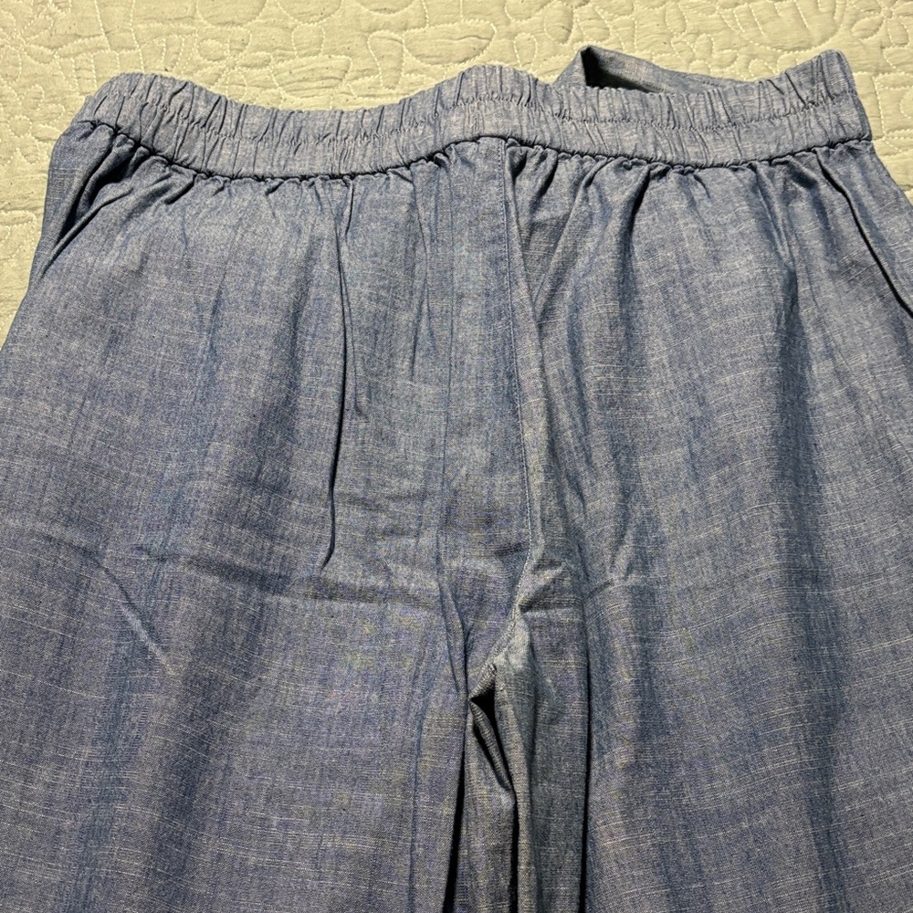 J. Crew Blue Cropped Pants - Picture 5 of 5